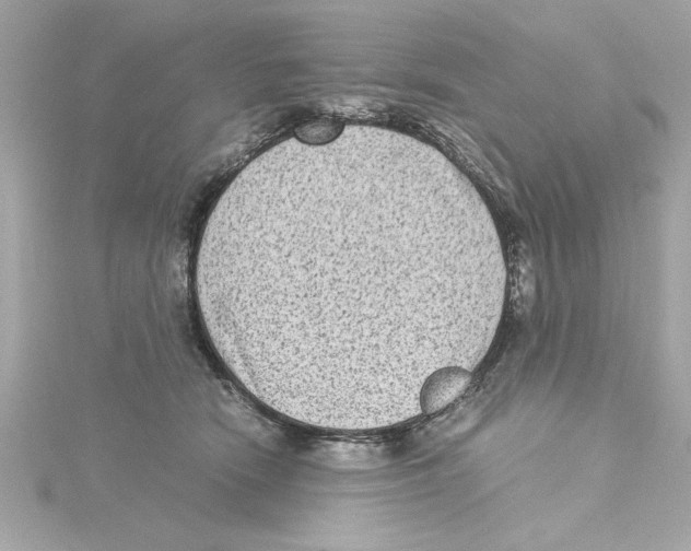 X0000115280466200911272010