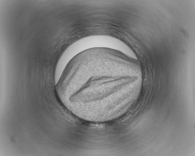 X0000115280469200911272010