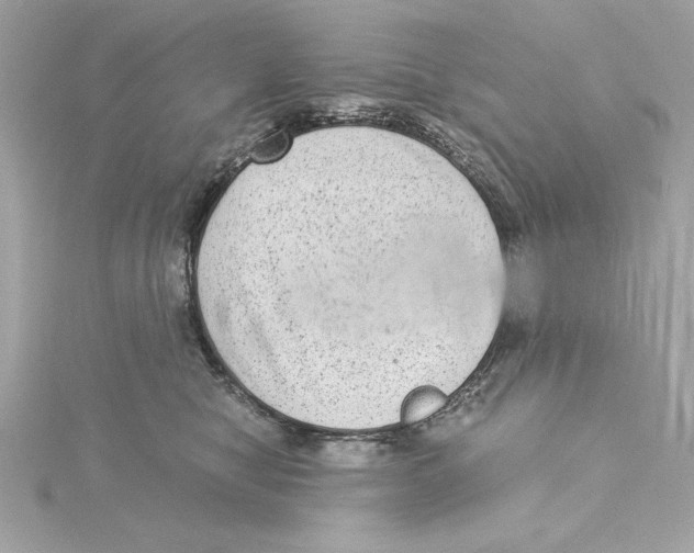 X0000115280470200911272010