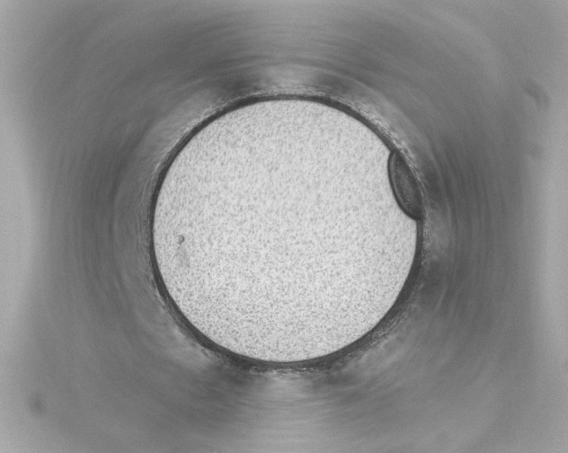 X0000115280481200911272010