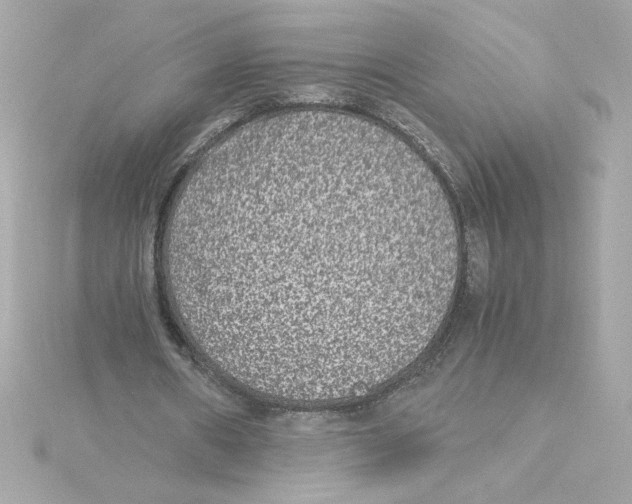 X0000115280482200911272010