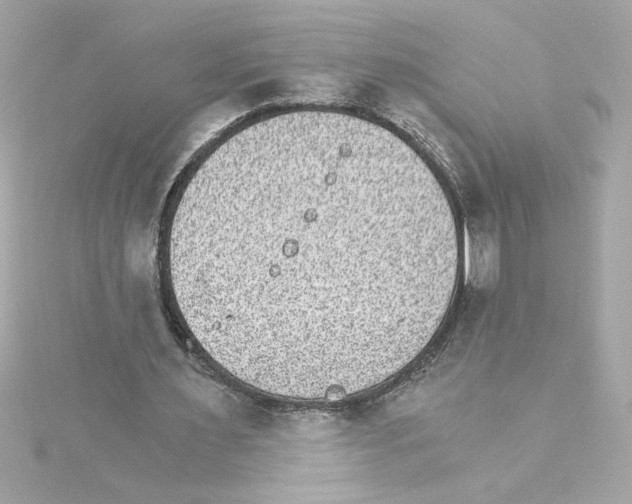 X0000115280483200911272010