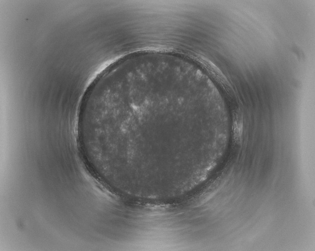 X0000115280484200911272010