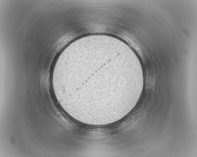 X0000115280485200911272010