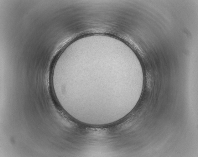 X0000115280486200911272010