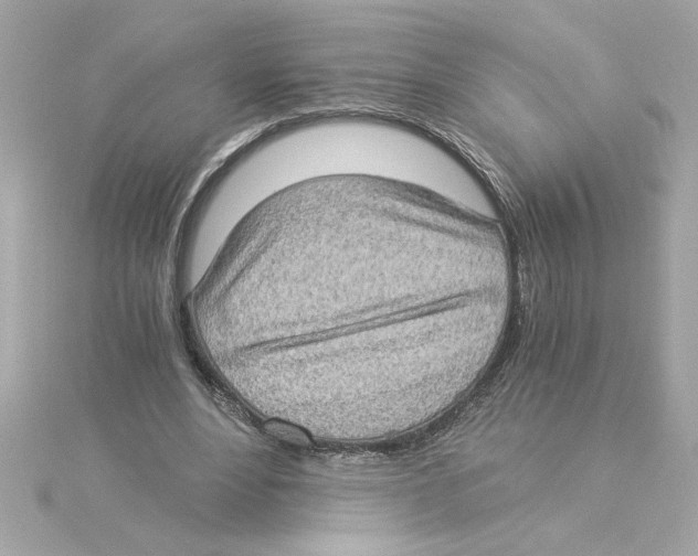 X0000115280488200911272010