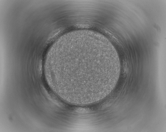 X0000115280494200911272010