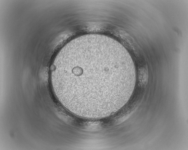 X0000115280495200911272010