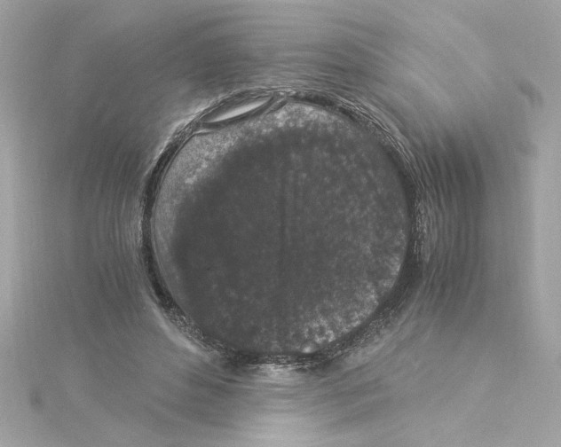 X0000115280496200911272010