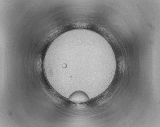 X0000115280498200911272010