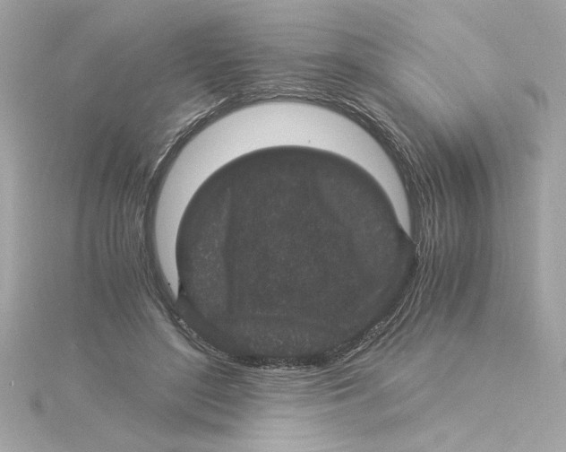 X0000115280500200911272010