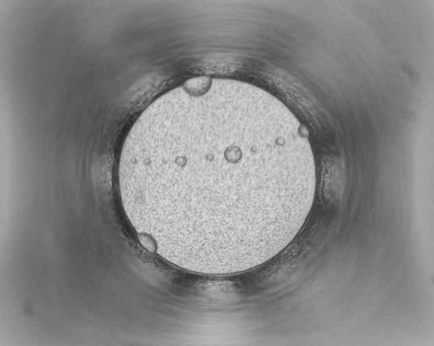 X0000115280501200911272010