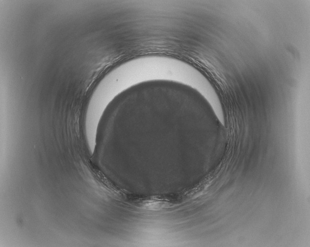 X0000115280504200911272010