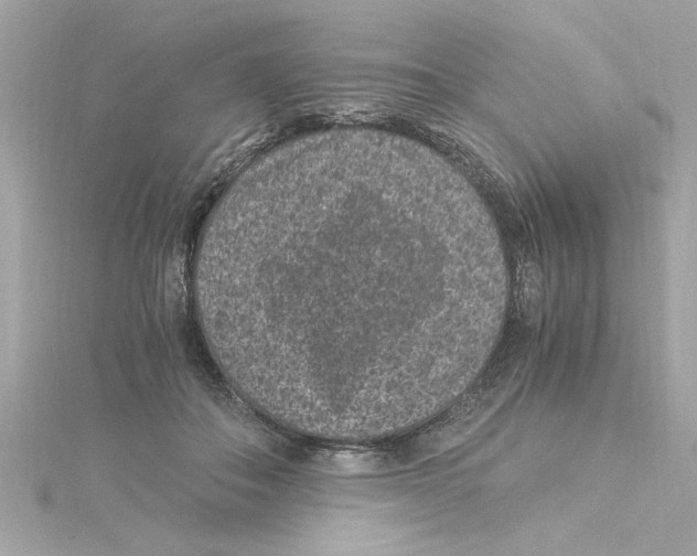 X0000115280506200911272010