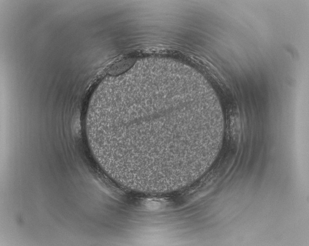 X0000115280508200911272010