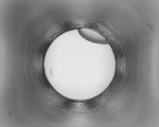 X0000115280509200911272010