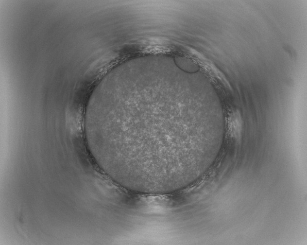 X0000115280517200911272009