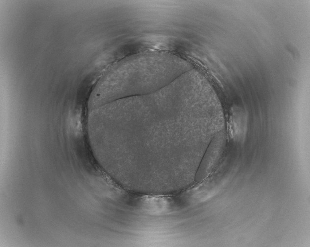 X0000115280520200911272009