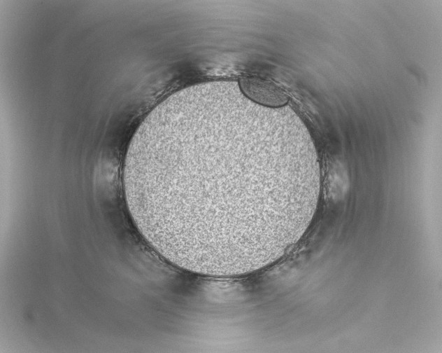 X0000115280521200911272009