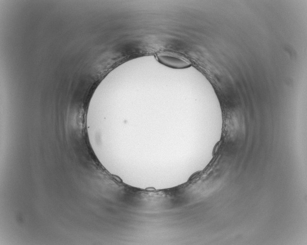 X0000115280525200911272009