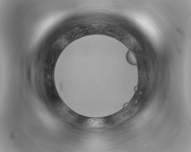 X0000115280526200911272009