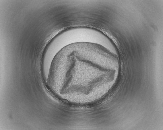 X0000115280533200911272009