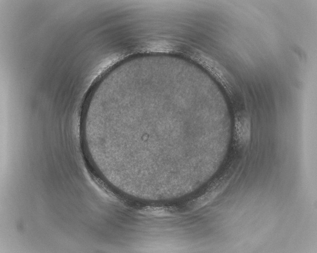 X0000115280534200911272009