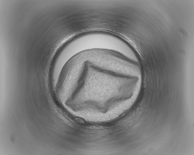 X0000115280535200911272009