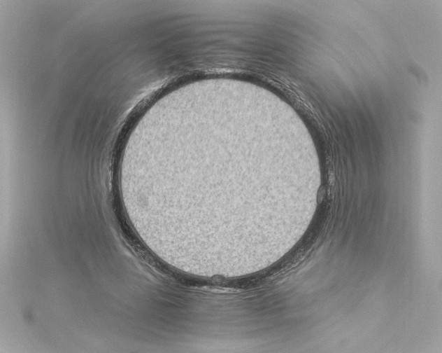 X0000115280539200911272009