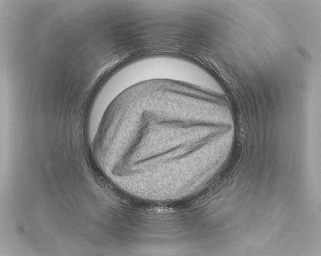 X0000115280543200911272009