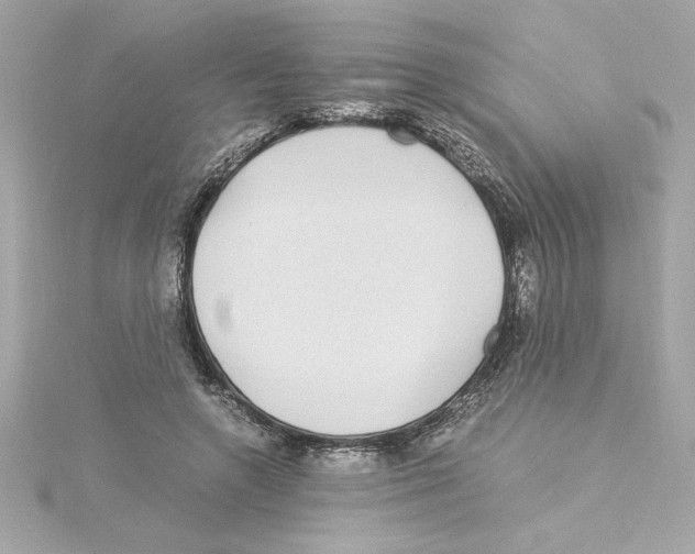 X0000115280546200911272009