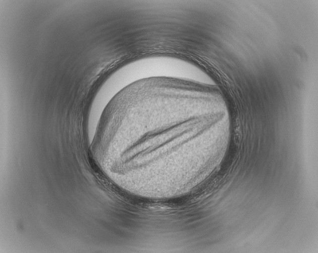 X0000115280547200911272009