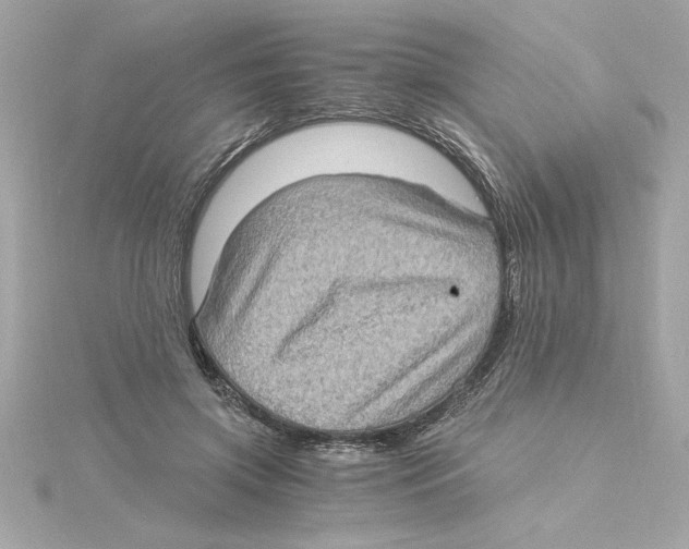 X0000115280549200911272009