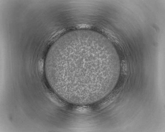 X0000115280550200911272009