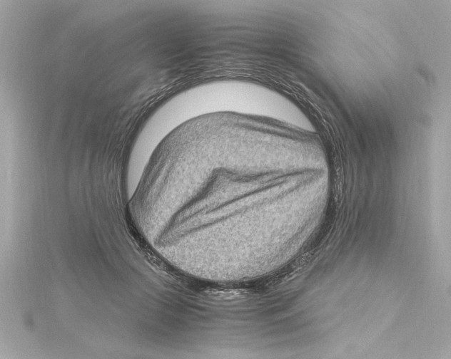 X0000115280553200911272009