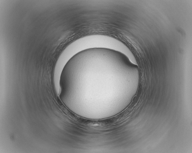 X0000115280557200911272009