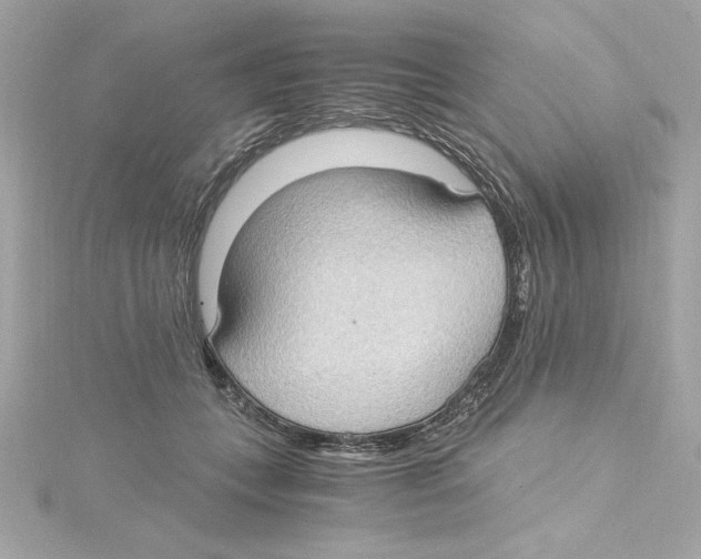 X0000115280559200911272009