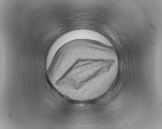 X0000115280561200911272009