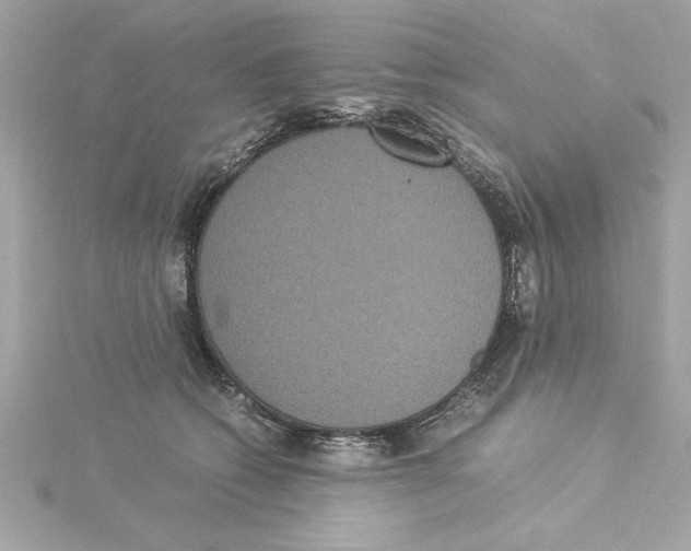 X0000115280562200911272009