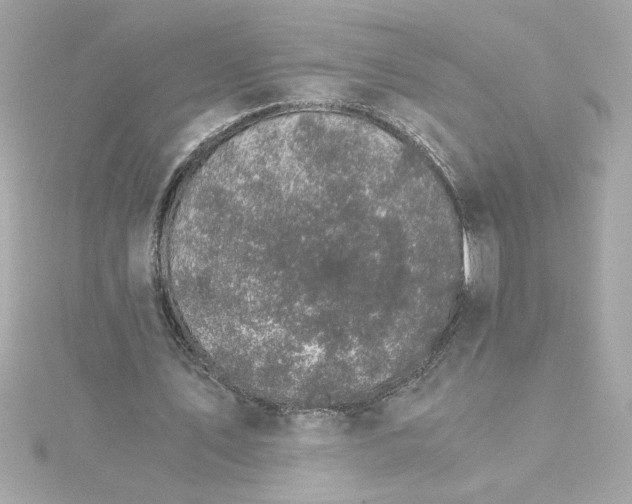 X0000115280579200911272008