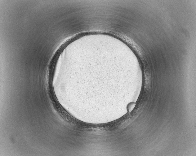 X0000115280580200911272008