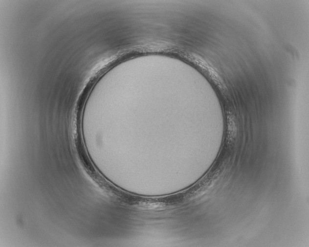 X0000115280582200911272008