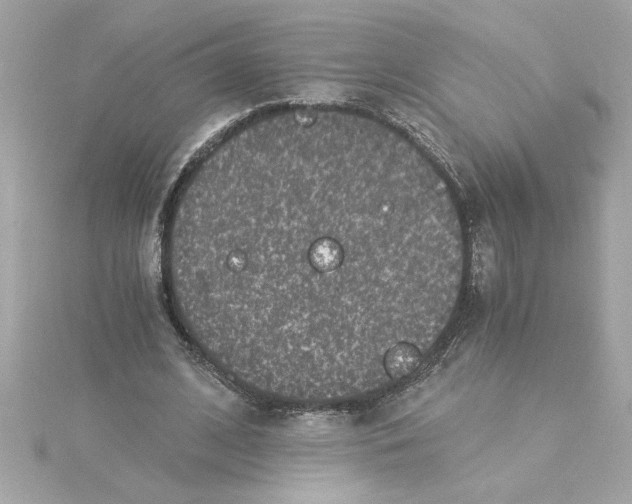 X0000115280584200911272008