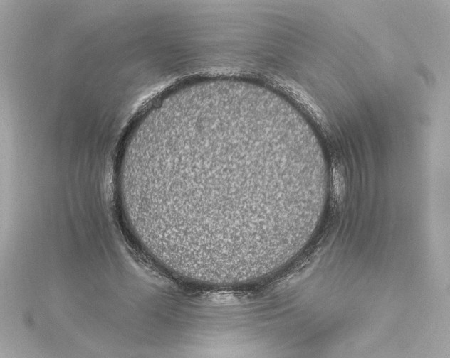 X0000115280588200911272008