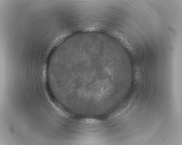 X0000115280590200911272008