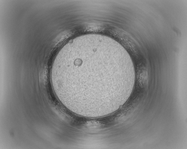 X0000115280591200911272008