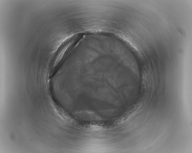 X0000115280592200911272008