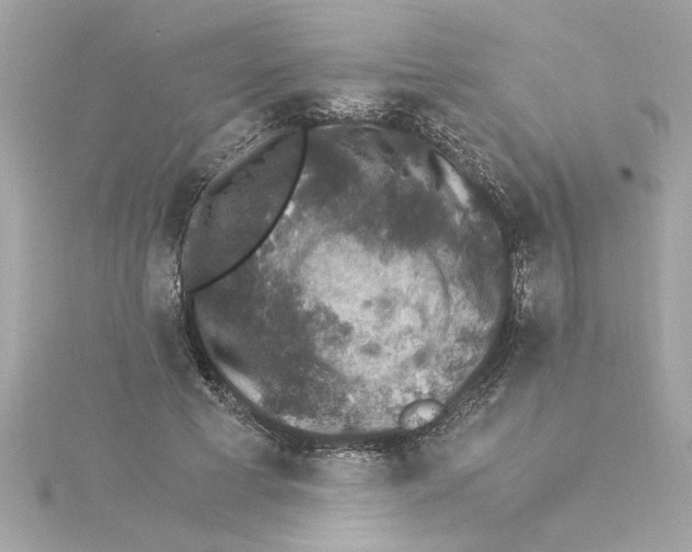 X0000115280593200911272008