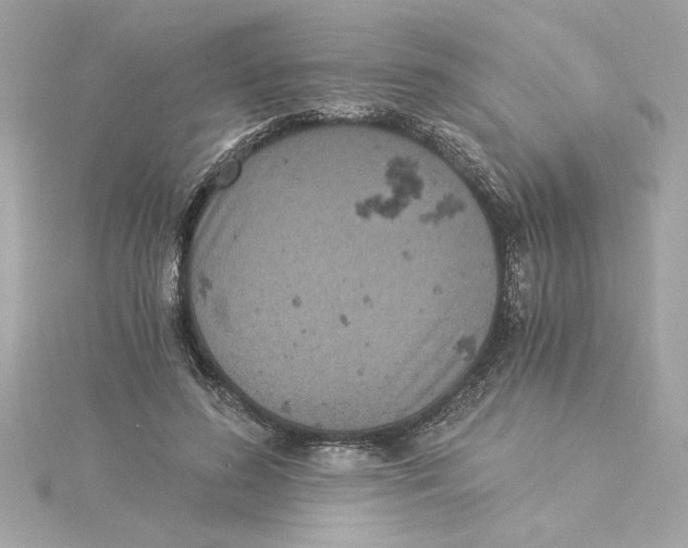 X0000115280596200911272008