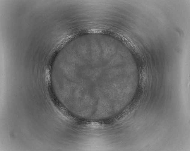 X0000115280598200911272008